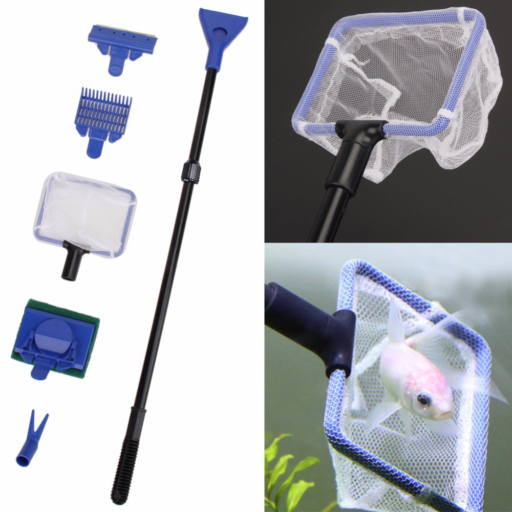Aquarium Fish Quality - 2019 New Arrival 5 in 1