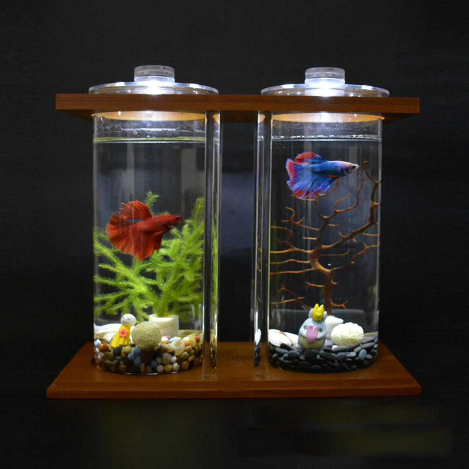 Aquarium Fish Names - Glass Betta Fish Tank with LED