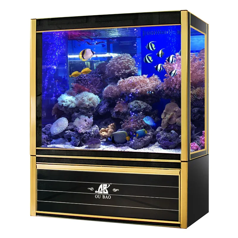 Aquarium Fish For Sale - #s Aquariums & Accessories Best Sale