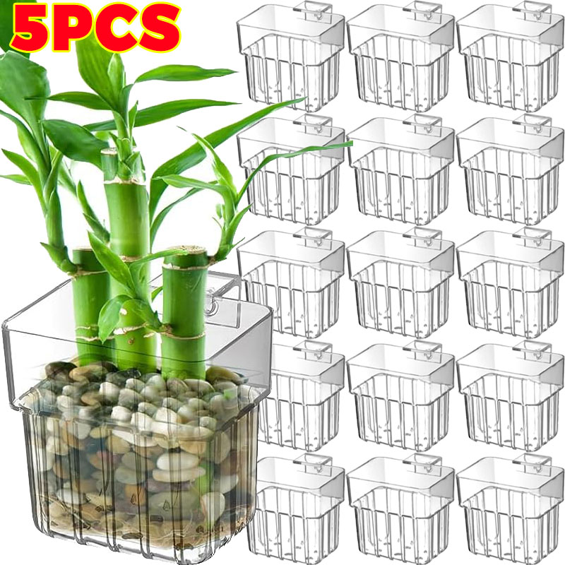 Aquarium Fish Types - 1/5pcs Aquarium Decoration Plant Cup Transparent