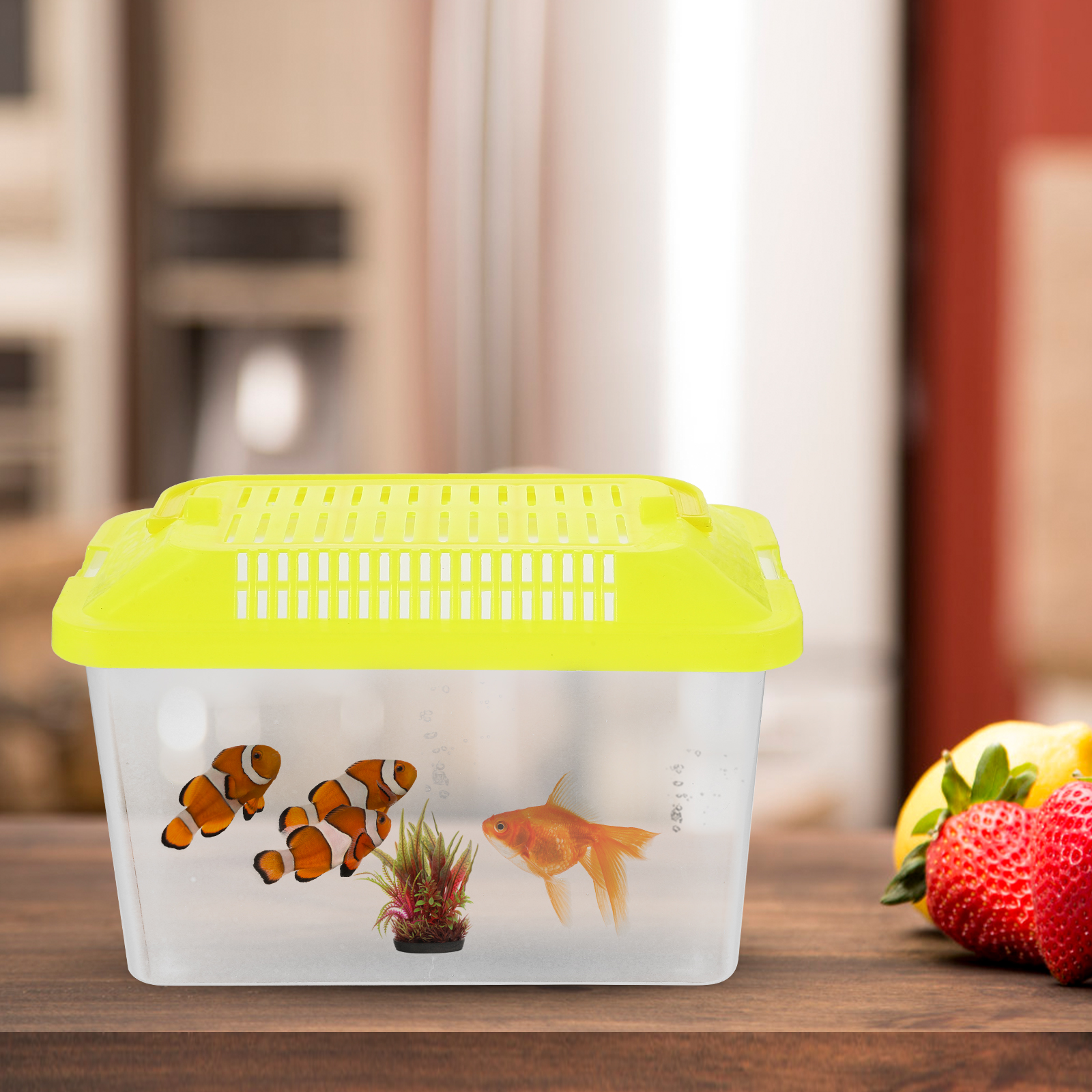Plastic Turtle Fish Tank Aquar - Aquarium Fish For Sale reseña y precio