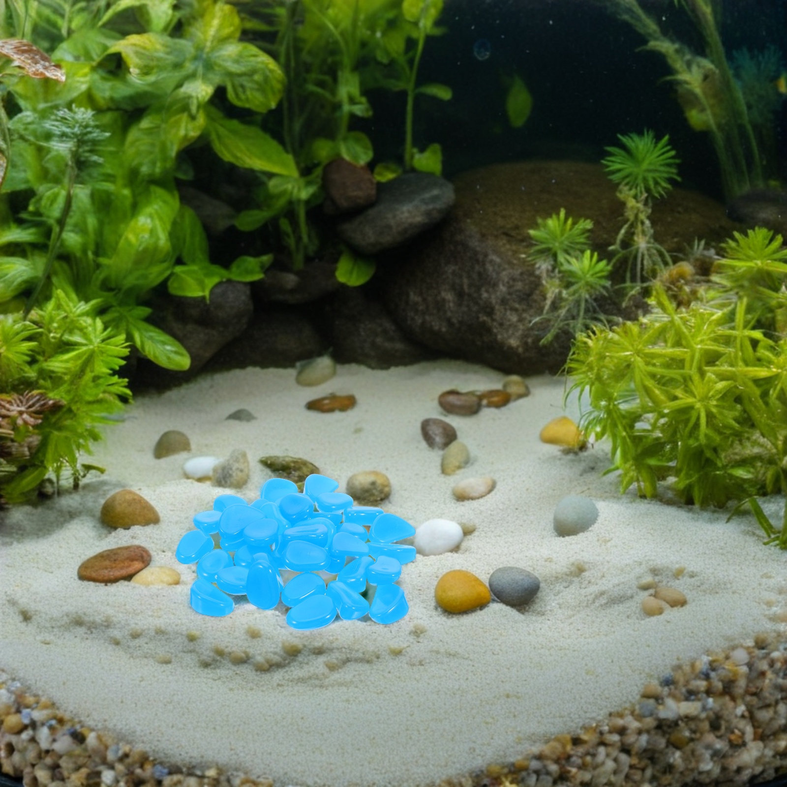 50Pcs Glow-in-Dark Pebbles Blu - Aquarium Fish That Glow In The Dark reseña y precio
