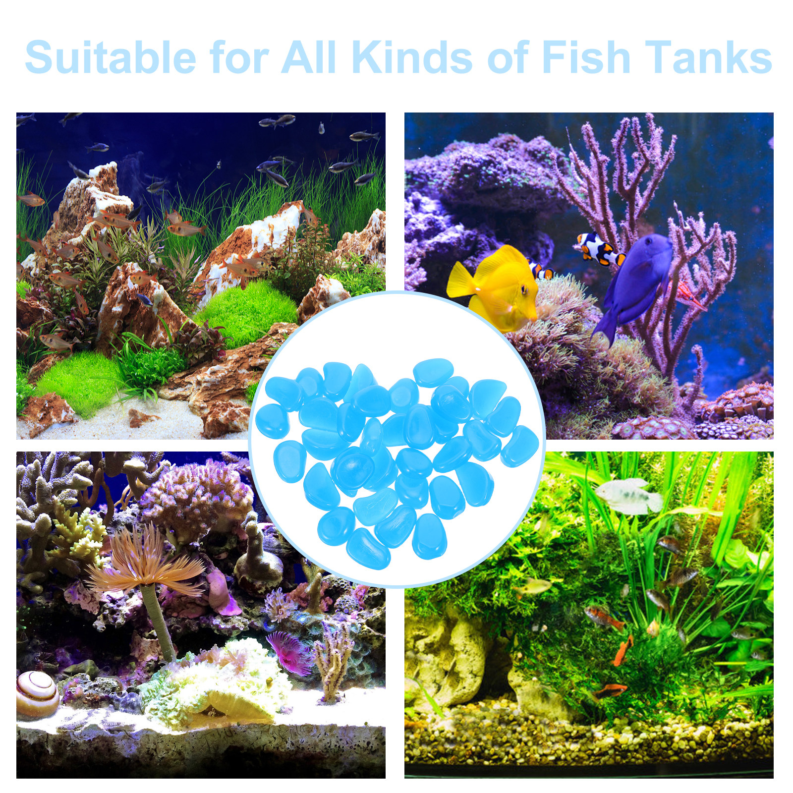50Pcs Glow-in-Dark Pebbles Blu - Aquarium Fish That Glow In The Dark reseña y precio