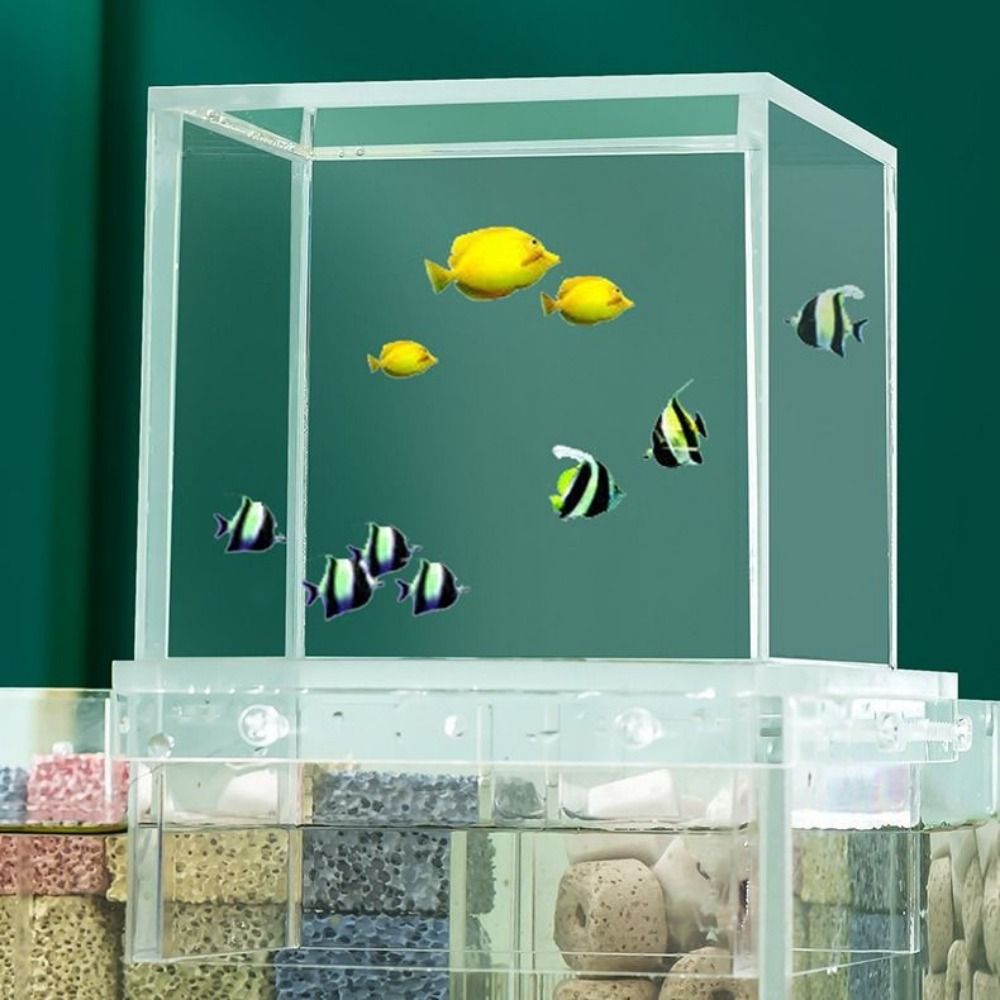 Landscaping Negative Pressure  - Aquarium Xxl reseña y precio