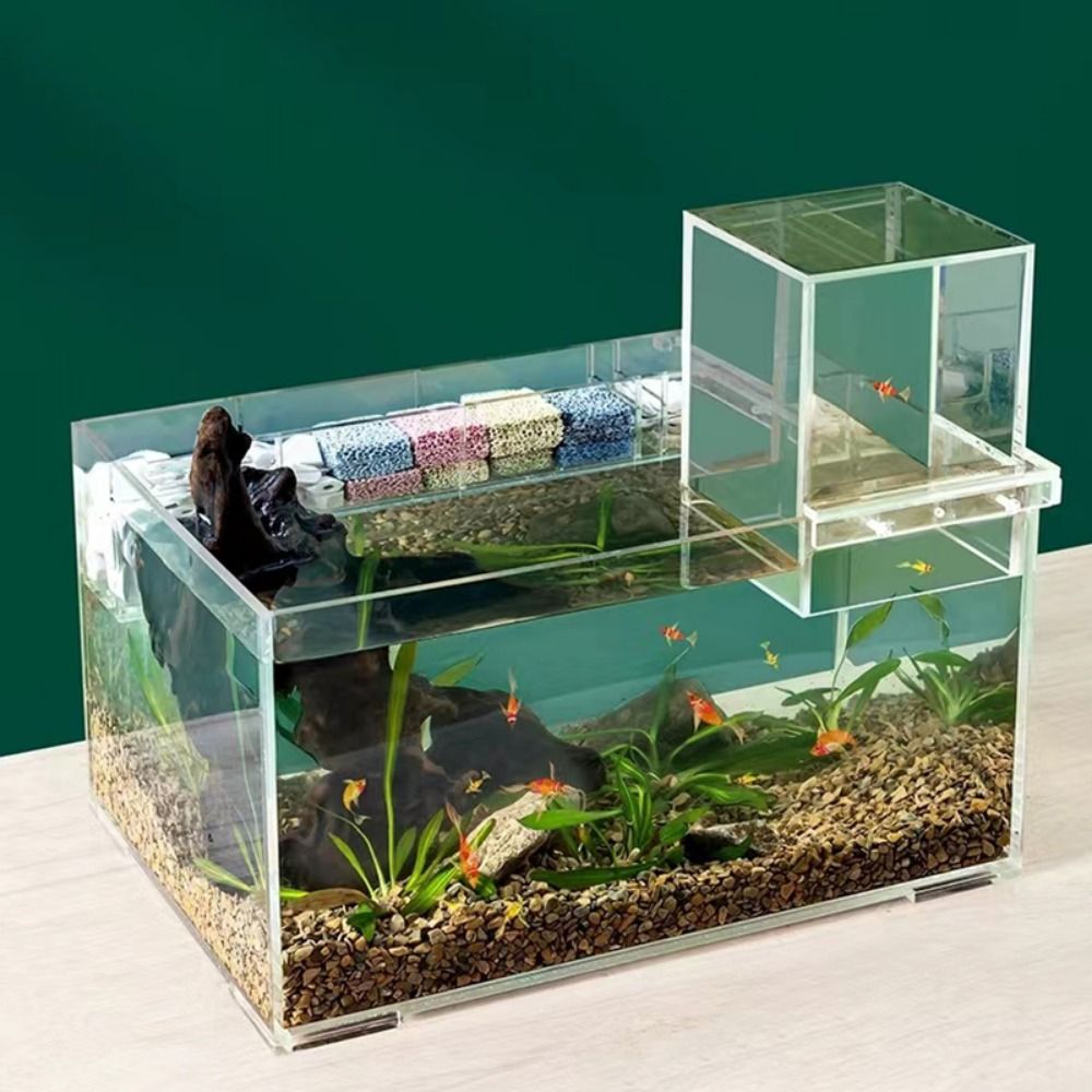 Landscaping Negative Pressure  - Aquarium Xxl reseña y precio