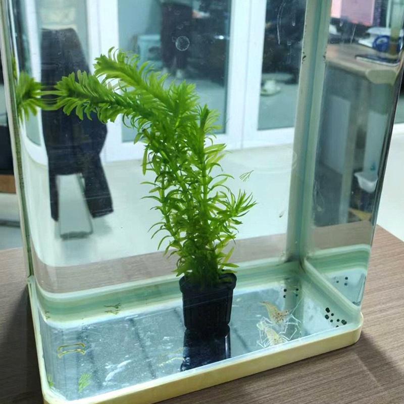 4Pcs Pet Fish Tank Landscaping - Aquarium Fish Usa reseña y precio