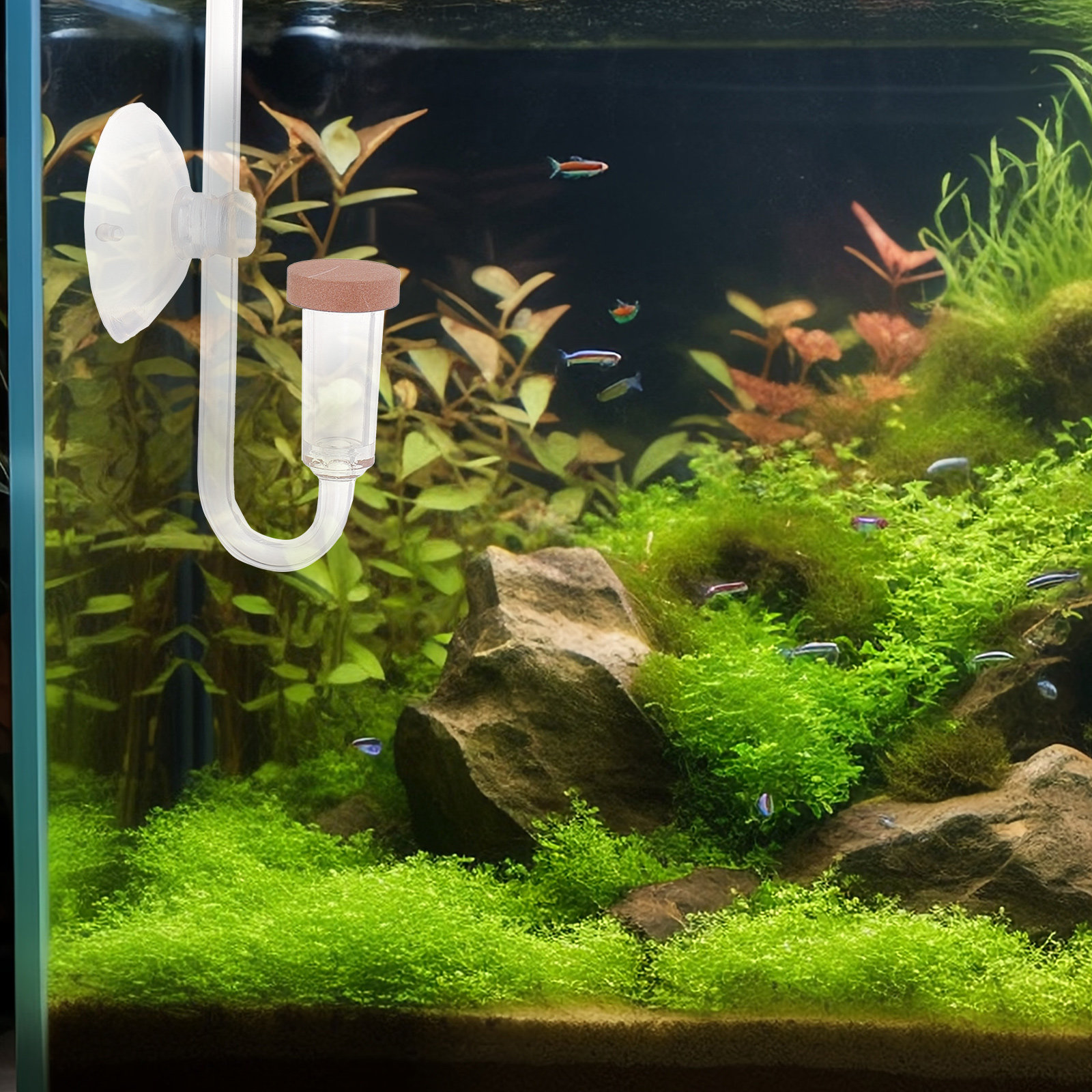Co2 Diffuser for Aquarium Tran - Aquarium Fish Rate reseña y precio