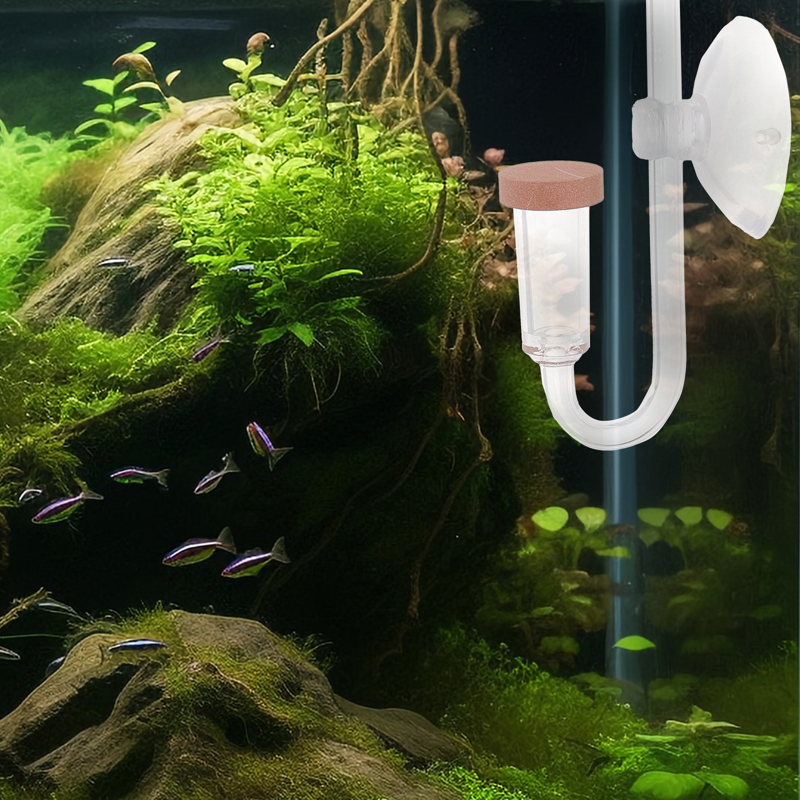 Co2 Diffuser for Aquarium Tran - Aquarium Fish Rate reseña y precio