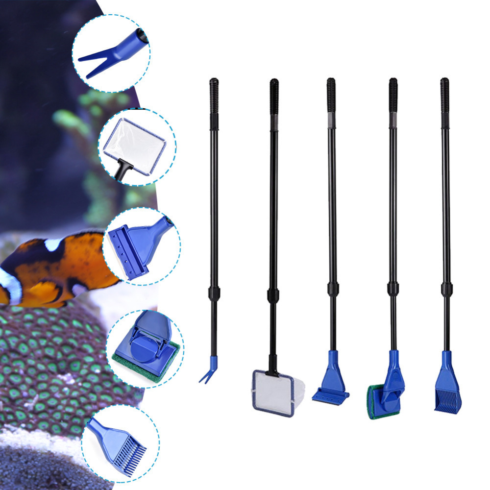 2019 New Arrival 5 in 1 Aquari - Aquarium Fish Quality reseña y precio