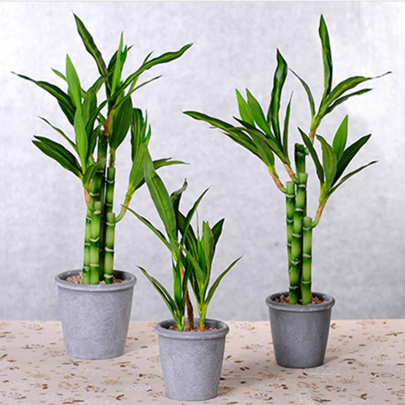 New 40cm rFtificial Lucky Bamb - Aquarium Fish Types reseña y precio