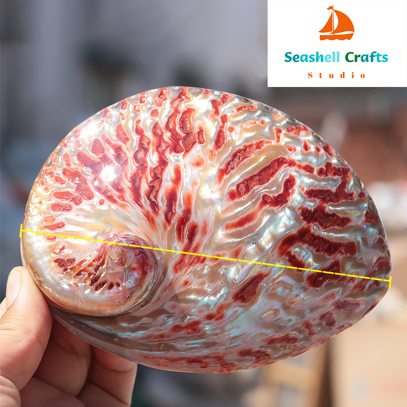 Home Decoration Red Pattern Ab - Aquarium Fish Names reseña y precio