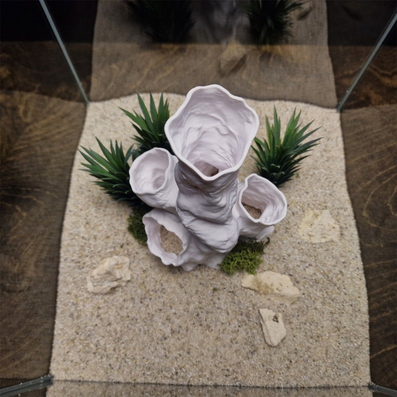 Hot Sale 3D Printed Coral Tunn - Aquarium Fish For Sale reseña y precio