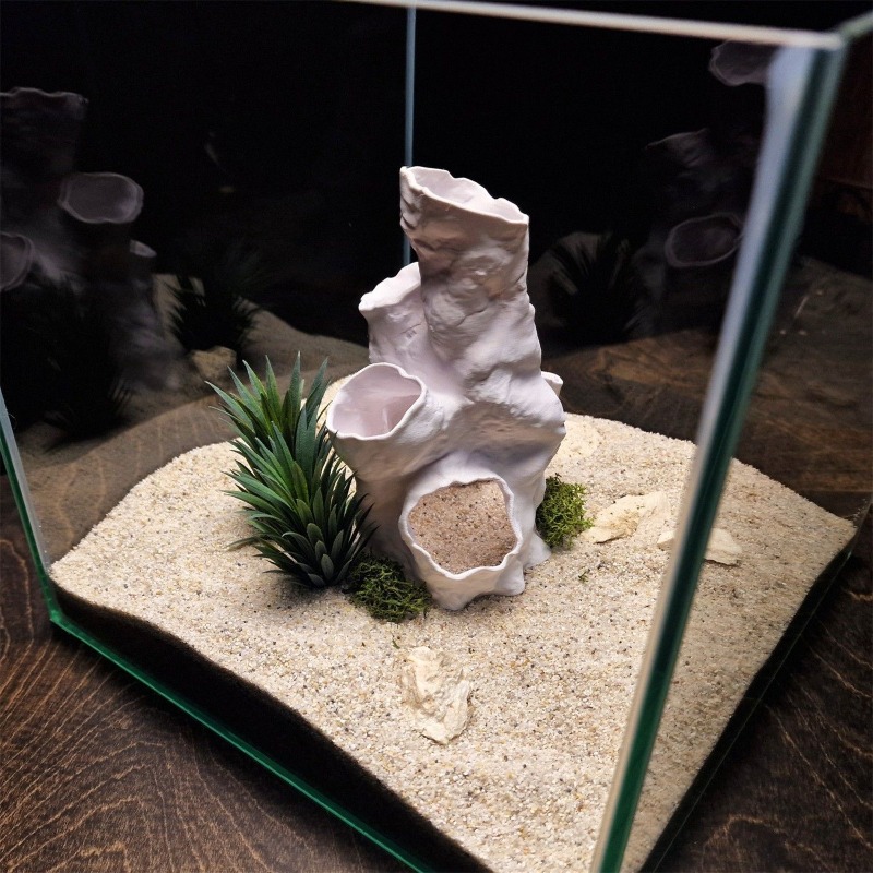 Hot Sale 3D Printed Coral Tunn - Aquarium Fish For Sale reseña y precio