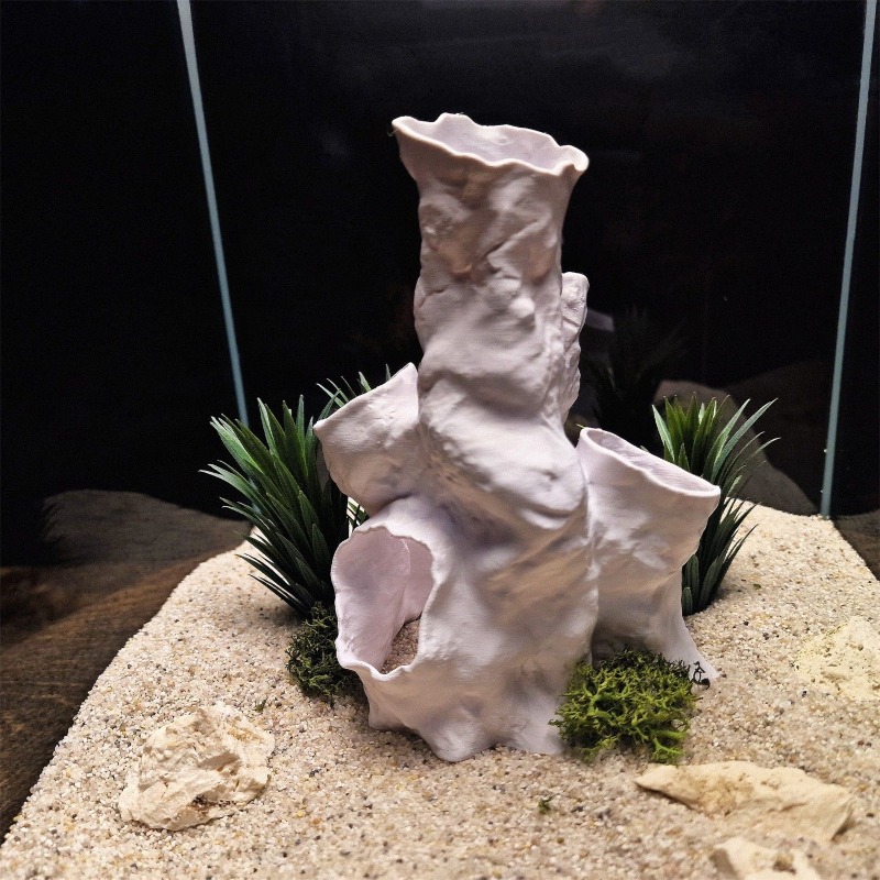 Hot Sale 3D Printed Coral Tunn - Aquarium Fish For Sale reseña y precio