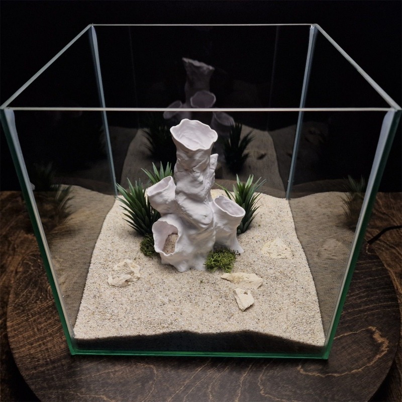 Hot Sale 3D Printed Coral Tunn - Aquarium Fish For Sale reseña y precio