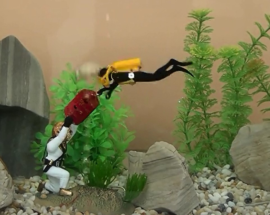 Hot Aquarium Decoration Unders - Aquarium Fish Gif reseña y precio