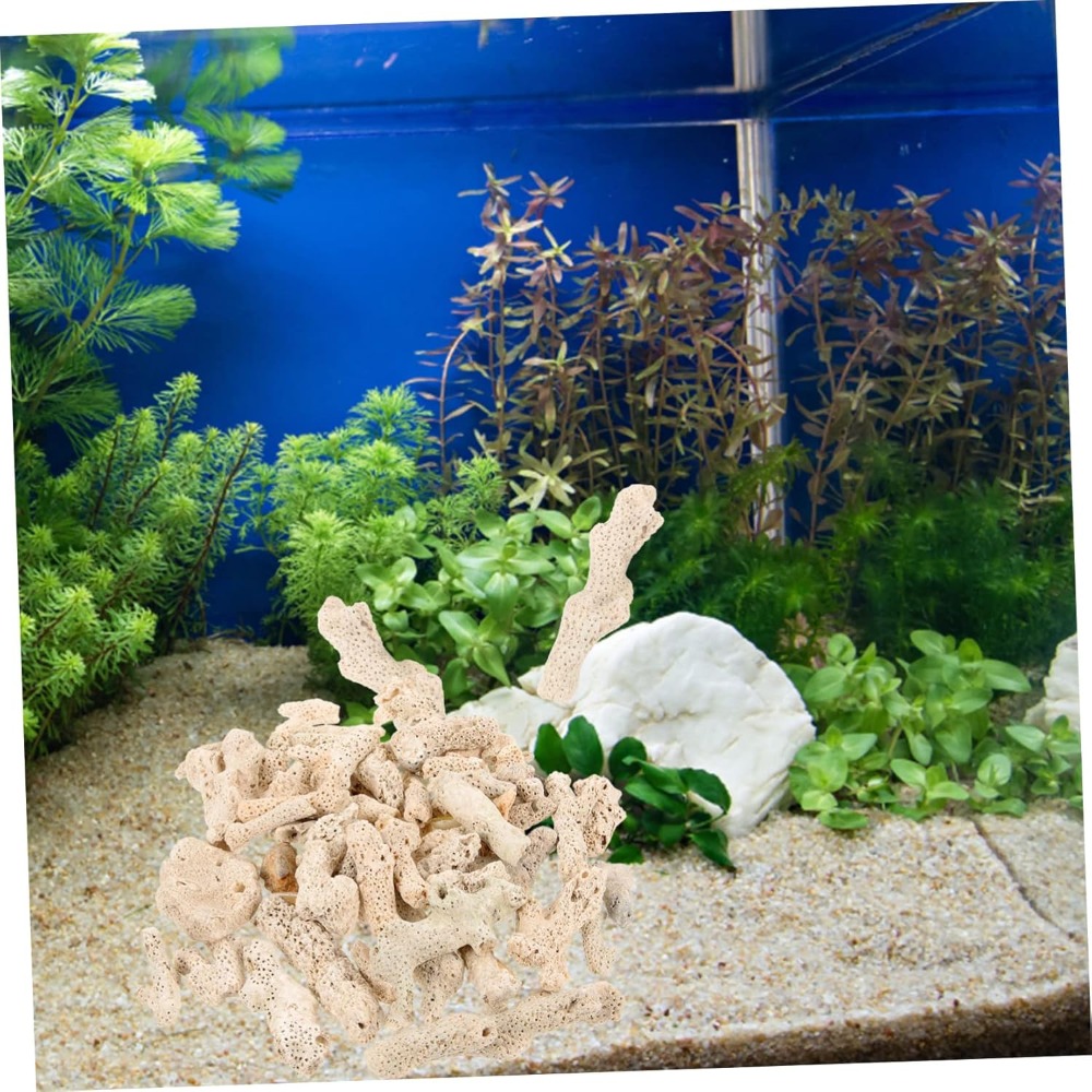 Crushed Coral Filter for Fresh - Aquarium Fish Usa reseña y precio