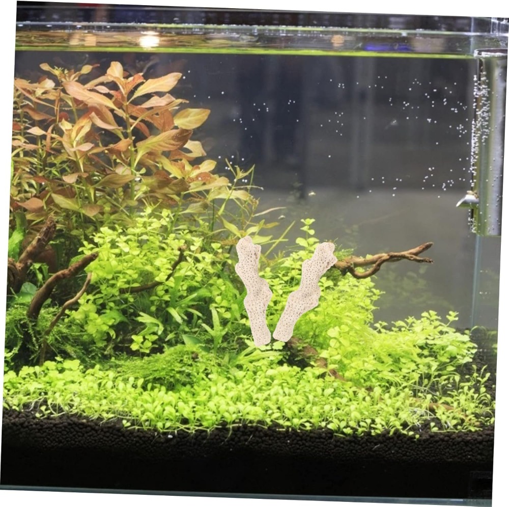 Crushed Coral Filter for Fresh - Aquarium Fish Usa reseña y precio