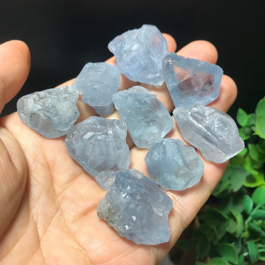40g/120g/240g Natural Blue Cel - Aquarium Fish Names reseña y precio