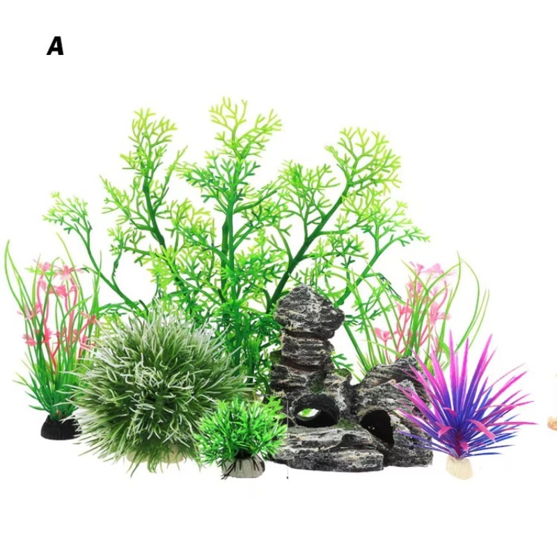 10pcs Hot Selling New Arrival  - Aquarium Fish For Sale reseña y precio