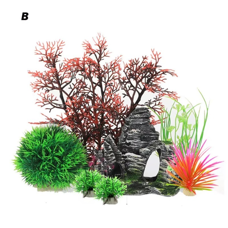10pcs Hot Selling New Arrival  - Aquarium Fish For Sale reseña y precio