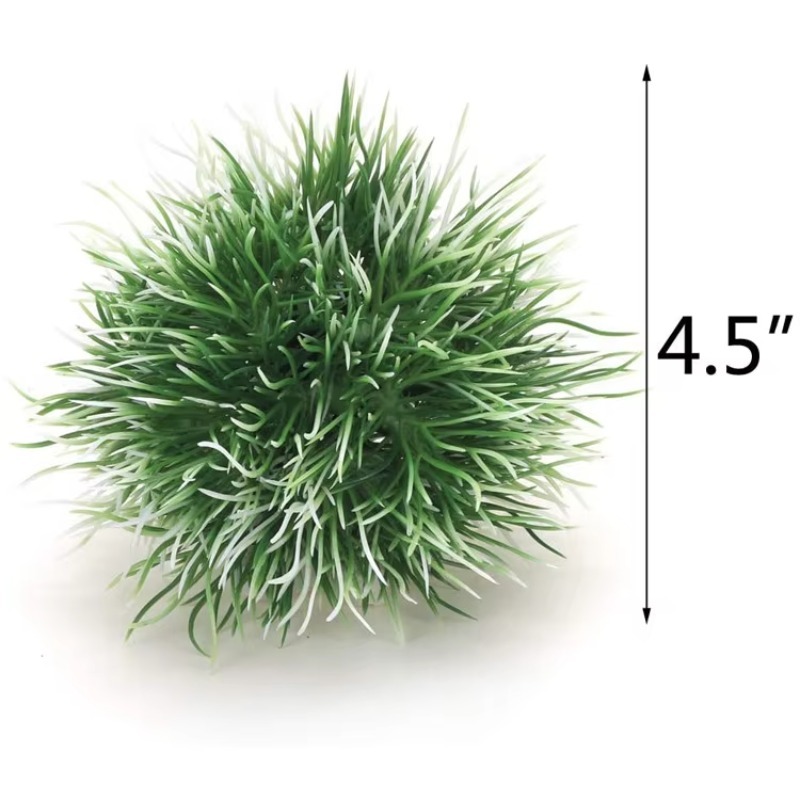 10pcs Hot Selling New Arrival  - Aquarium Fish For Sale reseña y precio