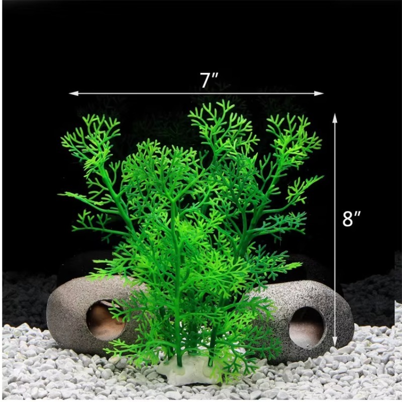 10pcs Hot Selling New Arrival  - Aquarium Fish For Sale reseña y precio