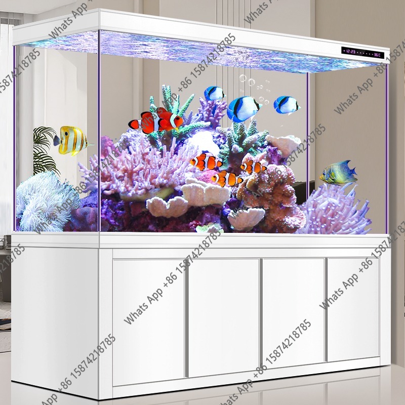 X Arowana Tank Ultra-white Gla - Aquarium Xxl reseña y precio
