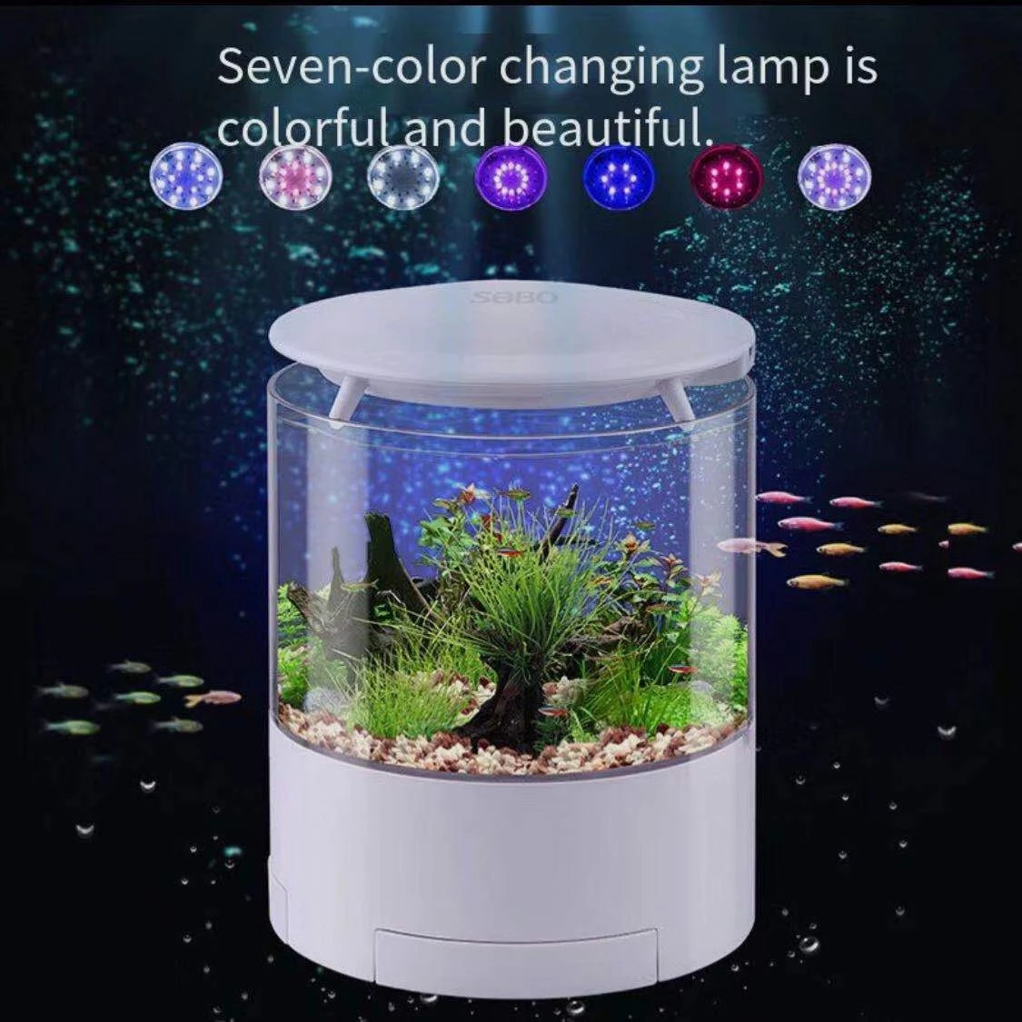 Round colorful lights desktop  - Aquarium Fish For Sale reseña y precio