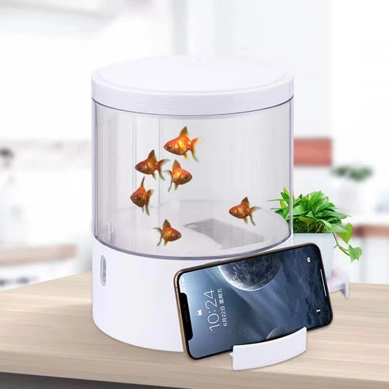 Round colorful lights desktop  - Aquarium Fish For Sale reseña y precio