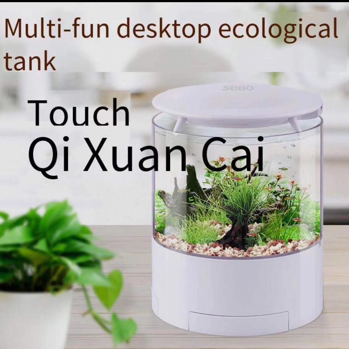 Round colorful lights desktop  - Aquarium Fish For Sale reseña y precio