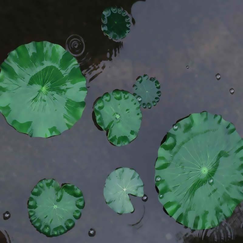 2026 Artificial Water Lily Lot - Aquarium Fish Types reseña y precio