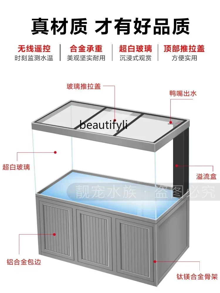 X New Light Luxury Dragon Fish - Xchange Aquarium Fish reseña y precio
