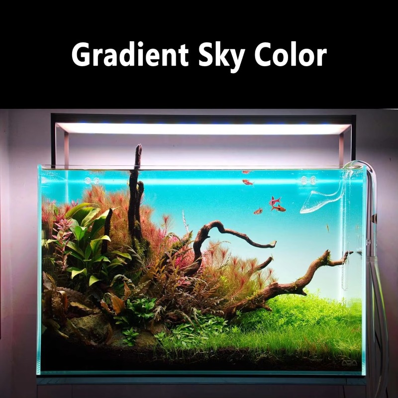 Aquarium Fish Tank Acrylic Gra - Aquarium Fish Rate reseña y precio