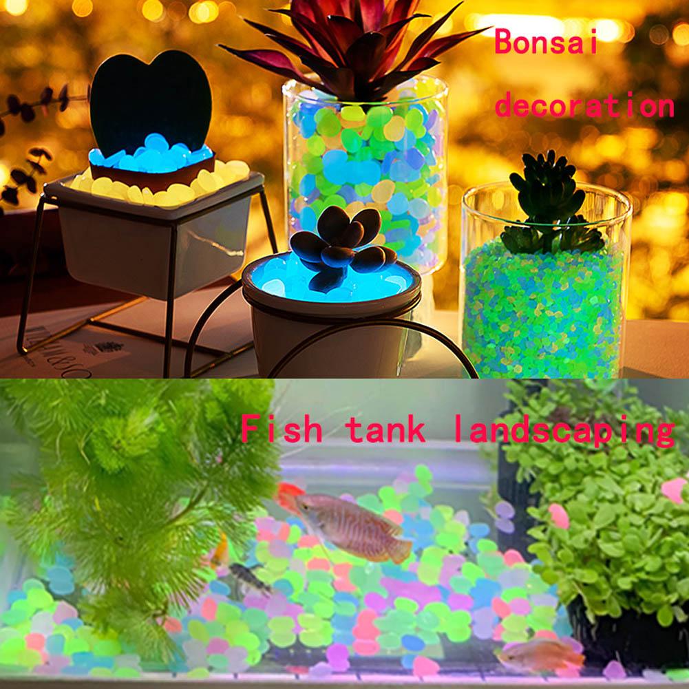 50Pcs Luminous Stones Fish Tan - Aquarium Fish That Glow In The Dark reseña y precio