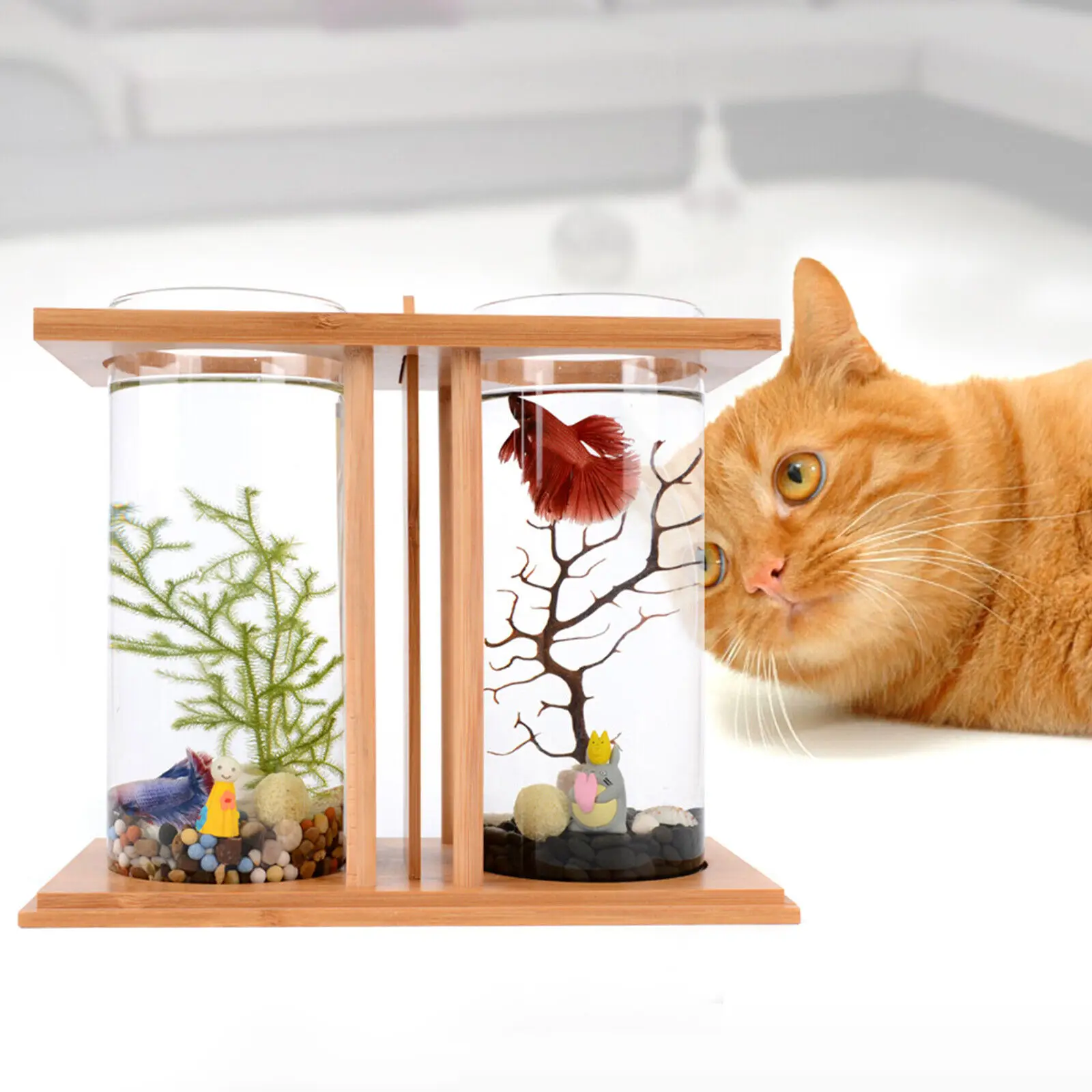 Glass Betta Fish Tank with LED - Aquarium Fish Names reseña y precio