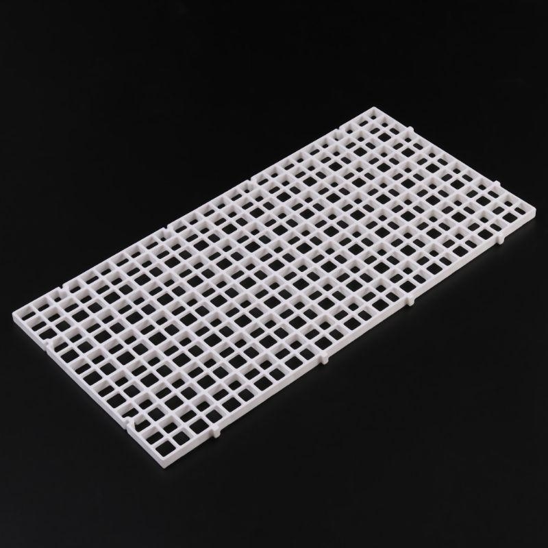 Aquarium Bottom Plate Fish for - Aquarium Fish For Sale reseña y precio