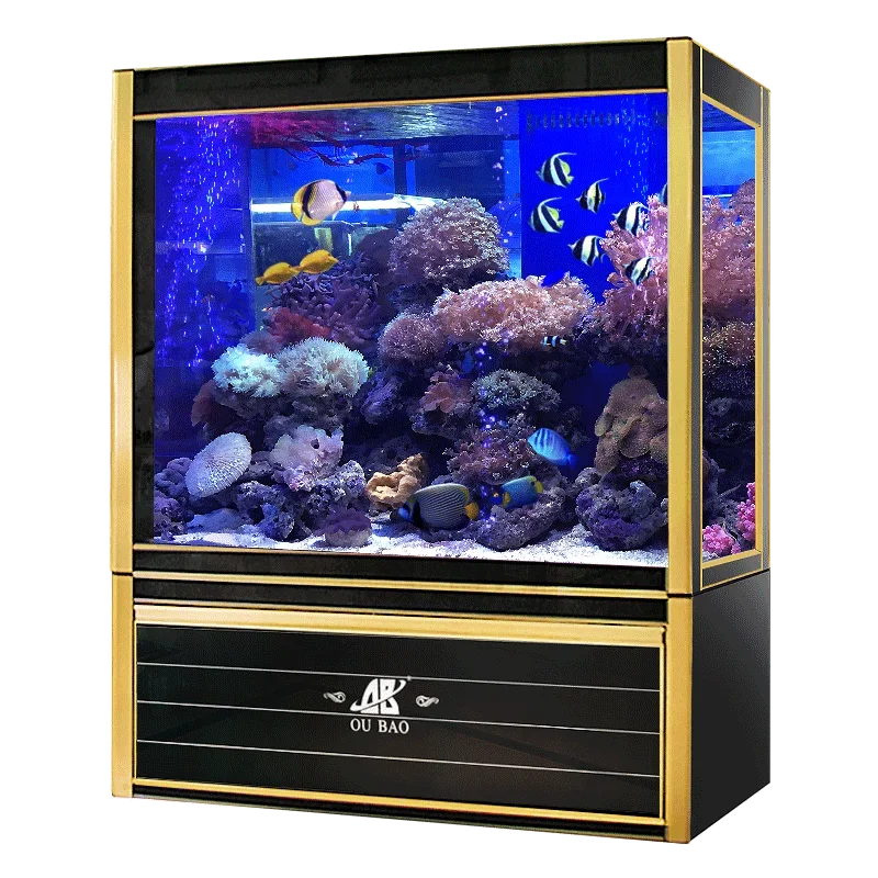 #s Aquariums & Accessories Bes - Aquarium Fish For Sale reseña y precio