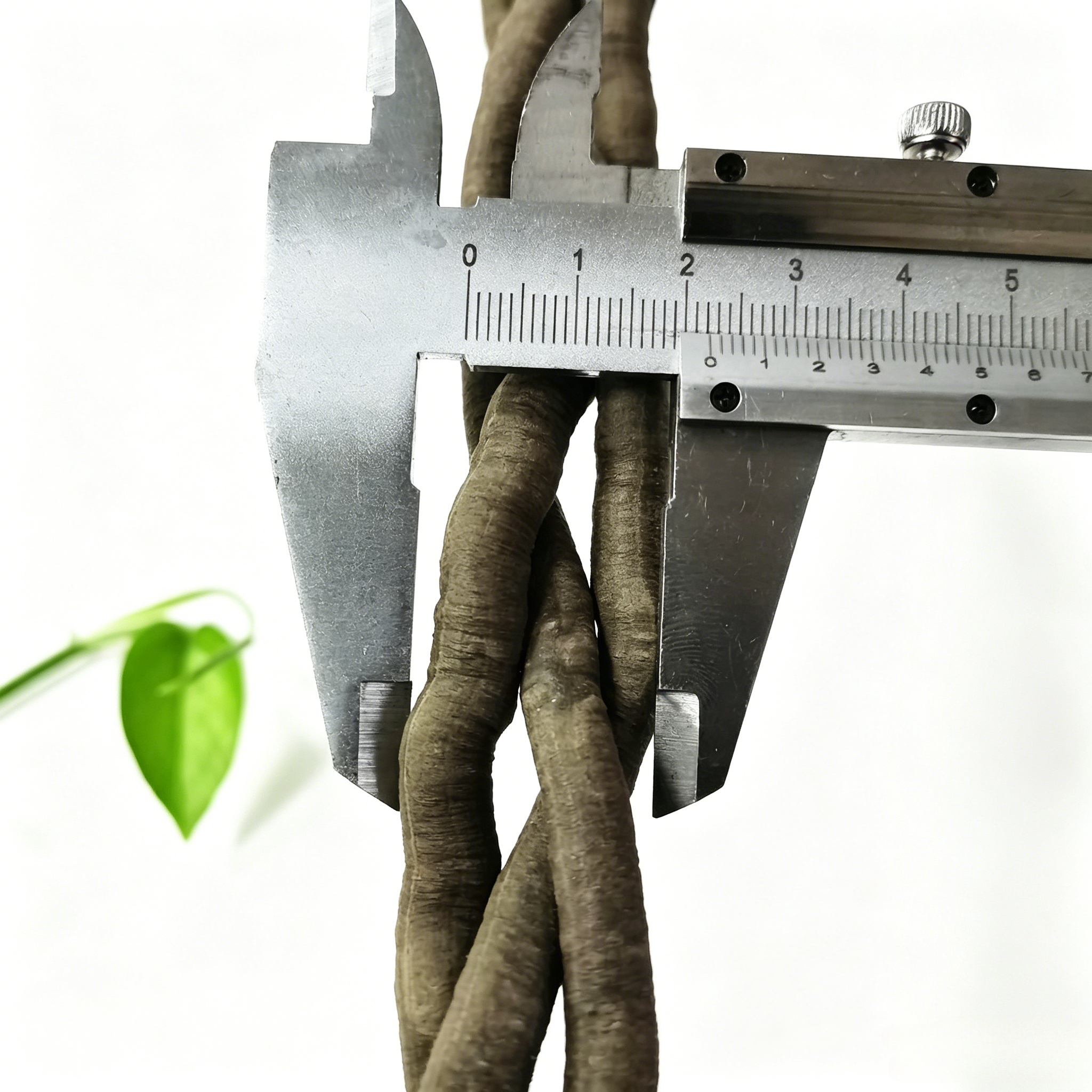 100cm Artificial Vine Fake Pla - Aquarium Fish Names reseña y precio