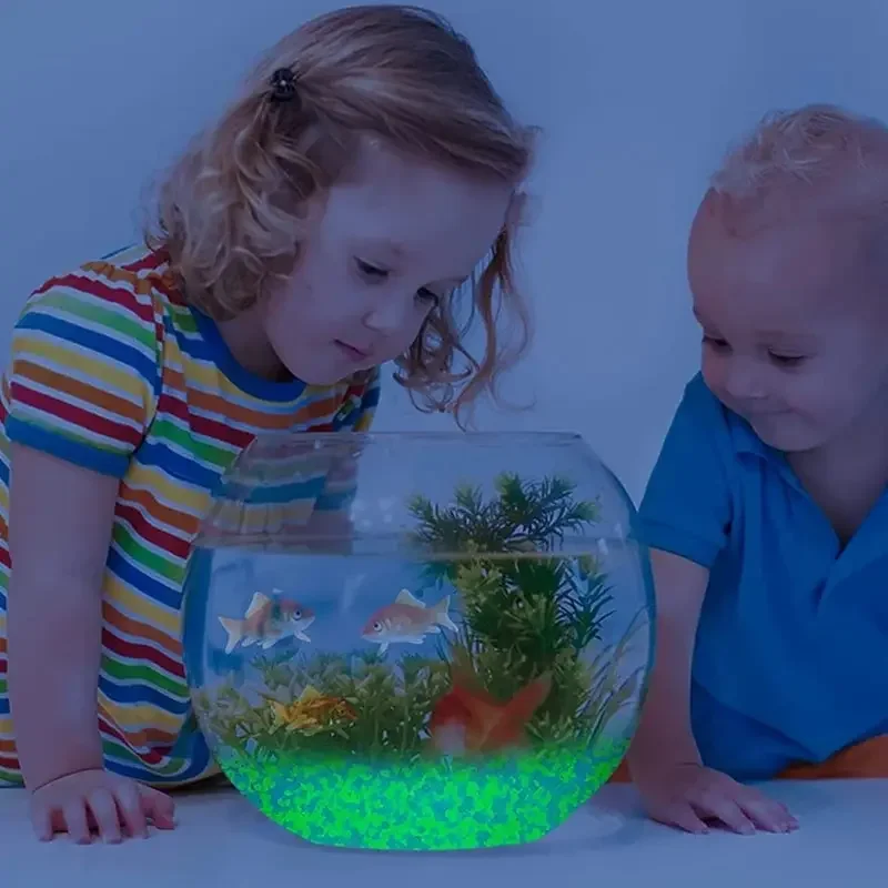 1000pcs 3-5mm Luminous Sand Gl - Aquarium Fish Names reseña y precio