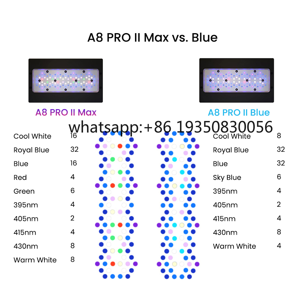 2026-A8 PRO II Max and Blue 24 - Aquarium Fish Usa reseña y precio