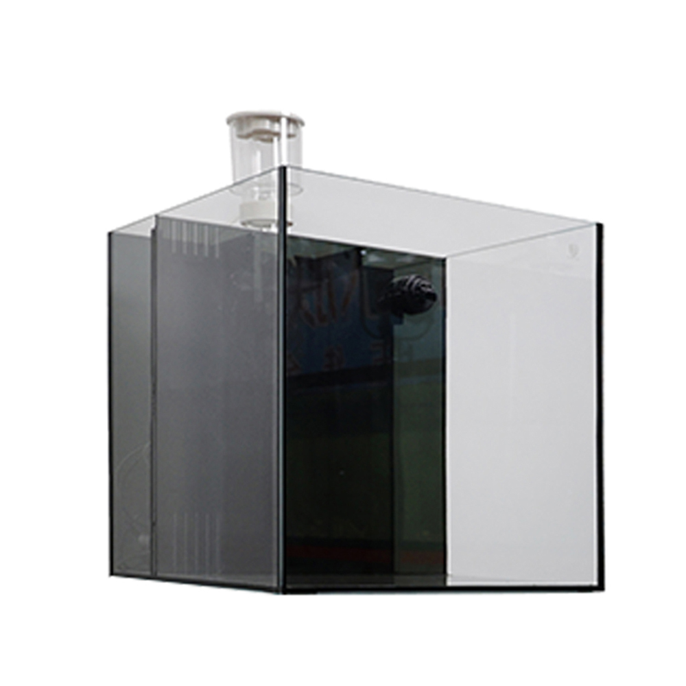 Indoor Glass Frameless Fish Aq - Aquarium Fish For Sale reseña y precio