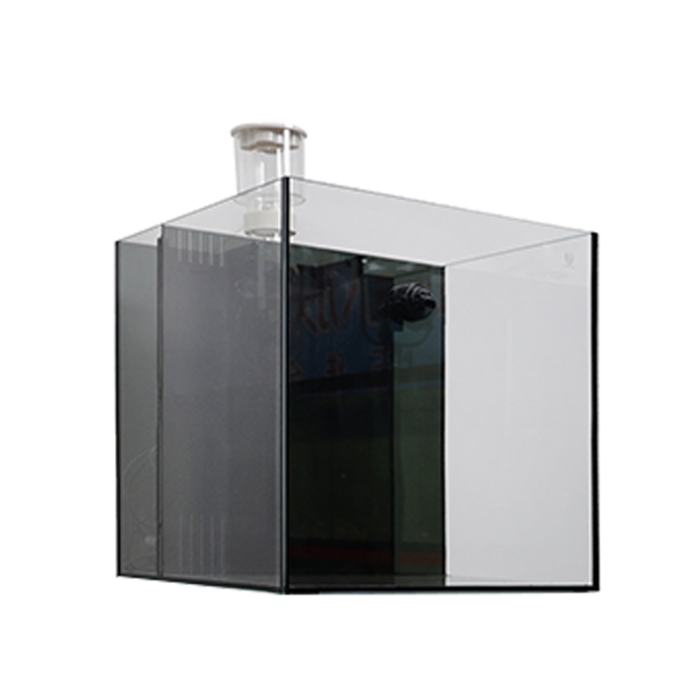 Indoor Glass Frameless Fish Aq - Aquarium Fish For Sale reseña y precio