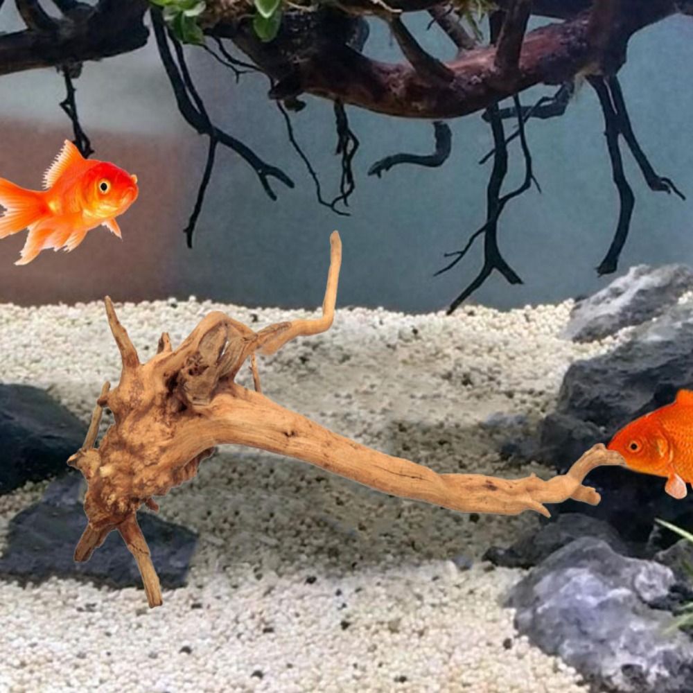 20-25CM Large Aquarium Driftwo - Aquarium Xxl reseña y precio