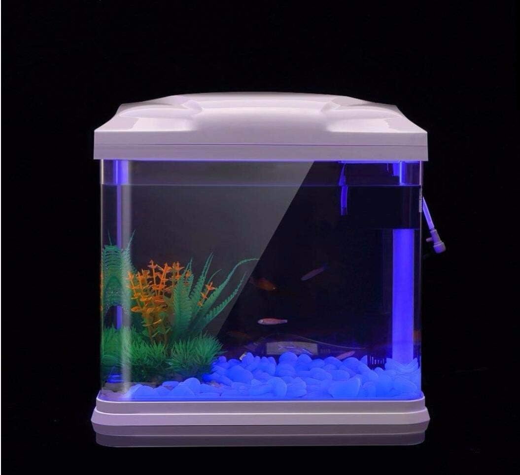 Fish Tank Rocks Glow Blue Pebb - Aquarium Fish Types reseña y precio