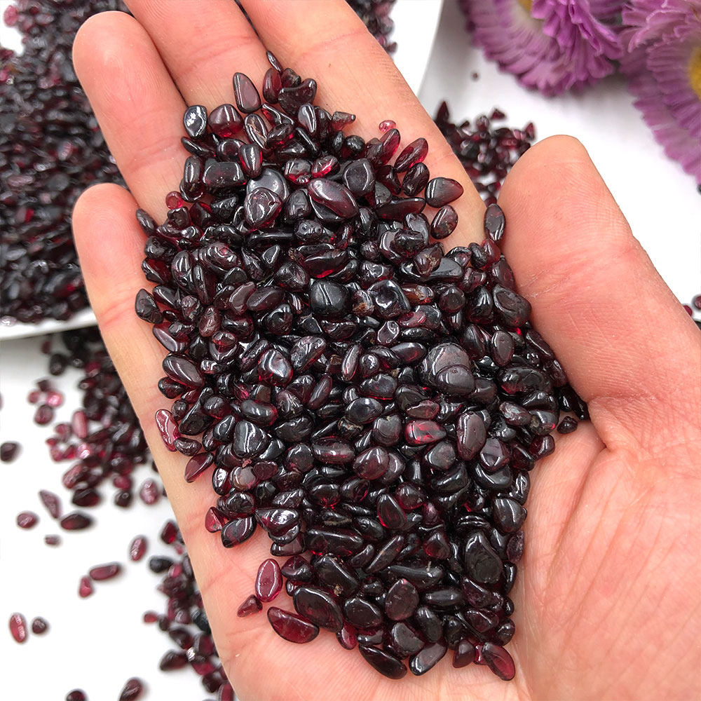 50g/Pack Lot Natural Red Garne - Aquarium Fish Names reseña y precio