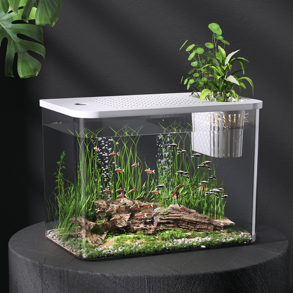 PET+ABS Fish Tank Transparent  - Aquarium Fish For Sale reseña y precio