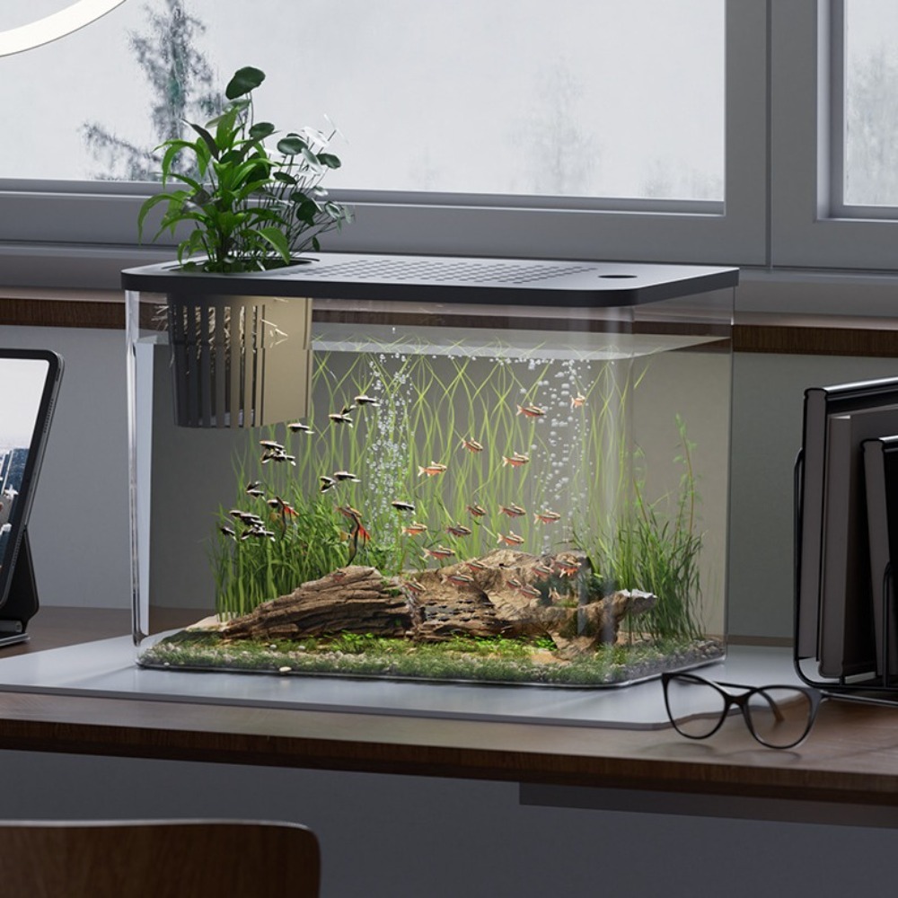 PET+ABS Fish Tank Transparent  - Aquarium Fish For Sale reseña y precio