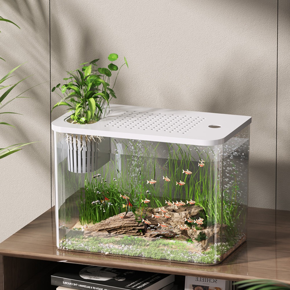 PET+ABS Fish Tank Transparent  - Aquarium Fish For Sale reseña y precio