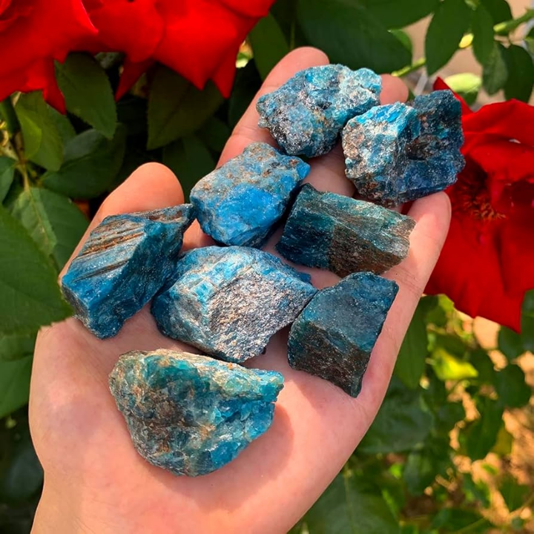 40g/120g/240g Natural Blue Apa - Aquarium Fish Names reseña y precio